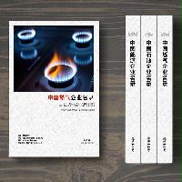 燃氣企業(yè)精準名錄